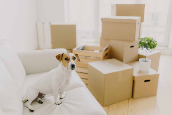 How to Create a Cozy and Inviting Atmosphere in a Minimalist Living Room?