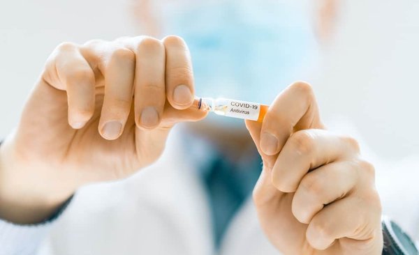 What Are the Best Organic Flea Prevention Treatments for Kittens?